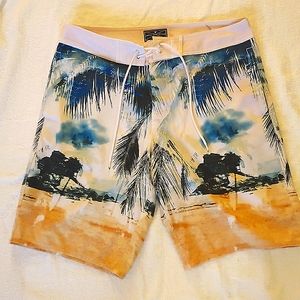 American Eagle tropical board shorts